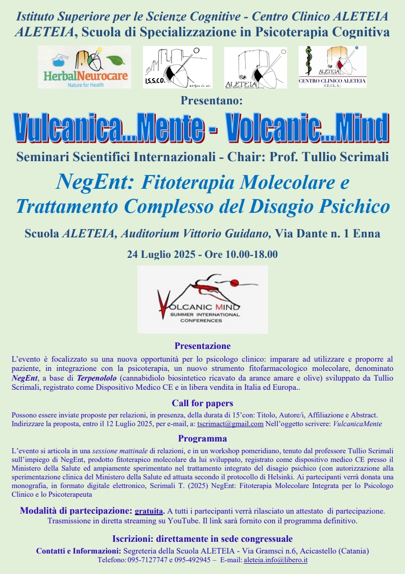 Vulcanica...Mente 2025.jpg